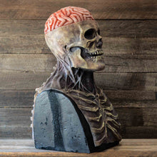Load image into Gallery viewer, Full Head Skeleton Halloween Mask