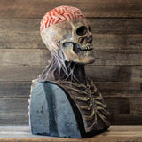 Full Head Skeleton Halloween Mask