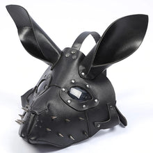 Load image into Gallery viewer, Medieval Plague Costume Mask Set