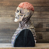 Full Head Skeleton Halloween Mask