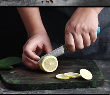Load image into Gallery viewer, Makito Damascus Steel Knife Set