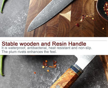 Load image into Gallery viewer, Makito Damascus Steel Knife Set