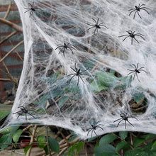Load image into Gallery viewer, Halloween Artificial Spider Web
