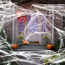 Load image into Gallery viewer, Halloween Artificial Spider Web
