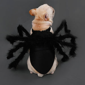 Pet Funny Spider Costume