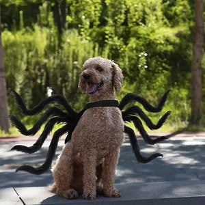 Pet Funny Spider Costume