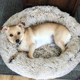 Dog bed-calming dog bed - ObeyKart