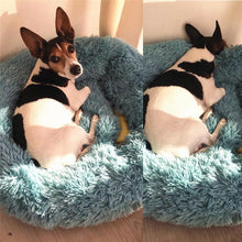 Load image into Gallery viewer, Dog bed-calming dog bed - ObeyKart
