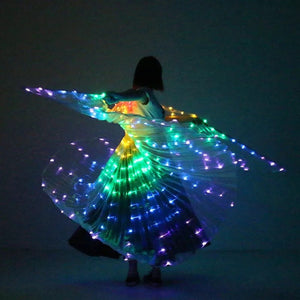 Led Light Luminous Clothing- Without remote