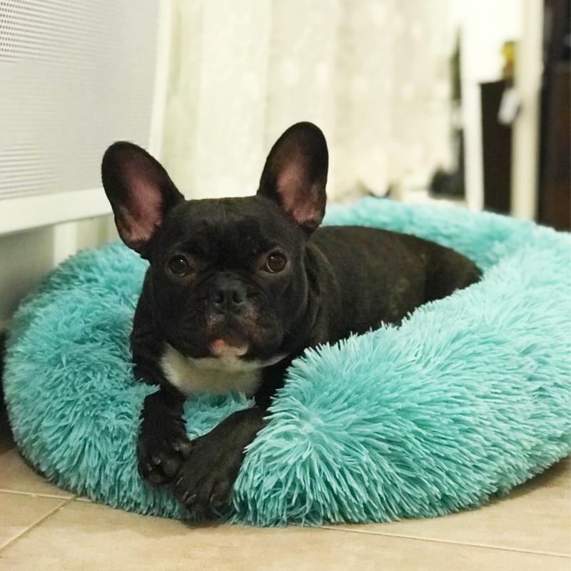 Dog bed-calming dog bed - ObeyKart