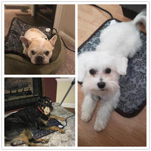 Load image into Gallery viewer, Benepaw Adjustable Heating Pad For Dog Cat Puppy - ObeyKart
