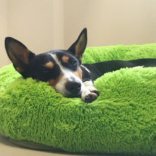 Load image into Gallery viewer, Dog bed-calming dog bed - ObeyKart
