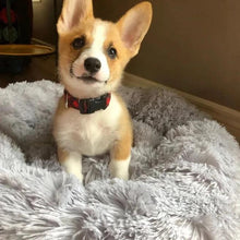 Load image into Gallery viewer, Donut Pet Bed - ObeyKart
