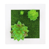 Artificial Plants Wall Decor Decoration for Bedroom Home Decor Artificial Plants Decoration Succulents Frame Wall Hanging Decor