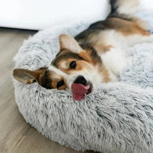 Load image into Gallery viewer, Donut Pet Bed - ObeyKart
