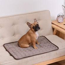 Load image into Gallery viewer, Cooling Mat Pad for Dogs Cats Ice Silk Mat Cooling Blanket Cushion - ObeyKart
