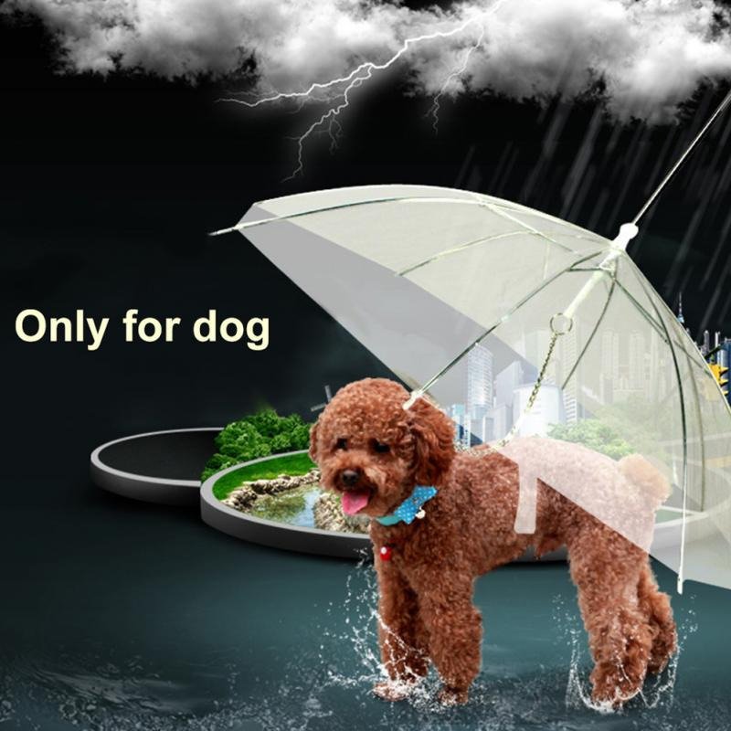 Transparent Dog Umbrella