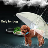 Transparent Dog Umbrella