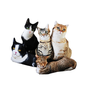 Realistic Cat Cushion