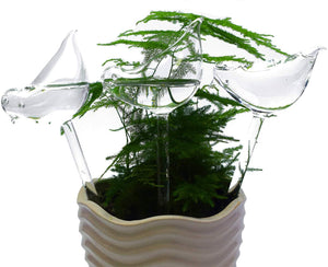 Self-Watering Plant Glass Bulbs-2PCS