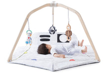 Load image into Gallery viewer, Kids Playground Gym
