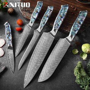 Chikashi  Damascus Steel knife