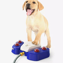 Load image into Gallery viewer, Dog Water Sprinkler
